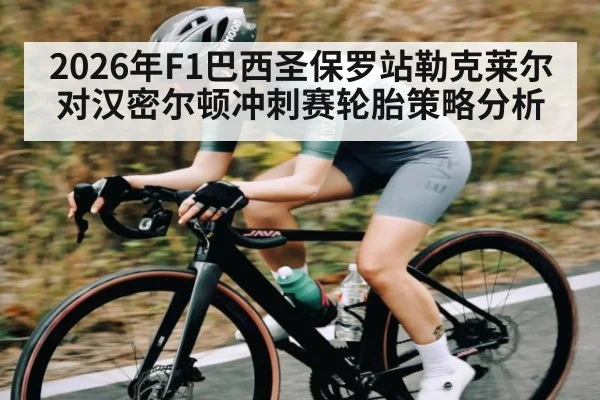 2026年F1巴西圣保罗站勒克莱尔对汉密尔顿冲刺赛轮胎策略分析 | kaiyun
